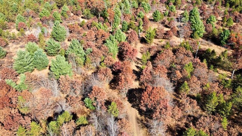 dji_fly_20241024_130312_489_1730406267648_photo_optimized copy