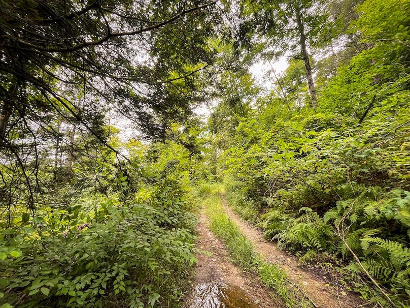 Chemung_60.55_Baumunk_Photos_21