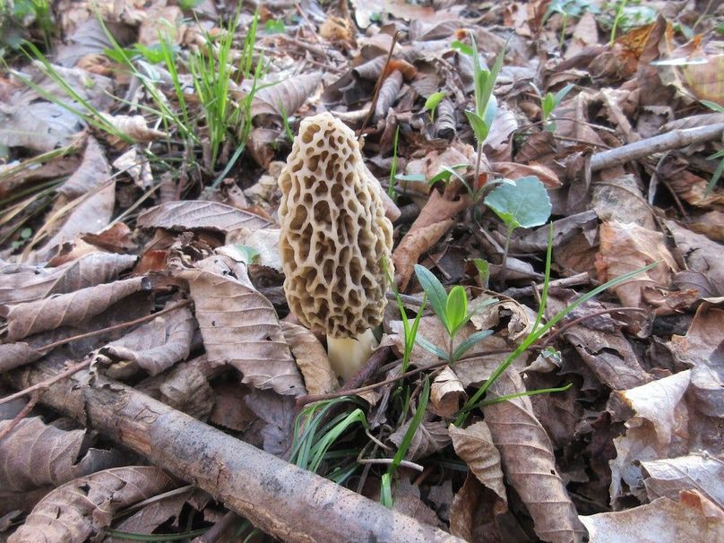 173019039_788972242003136_5242901871014055207_n