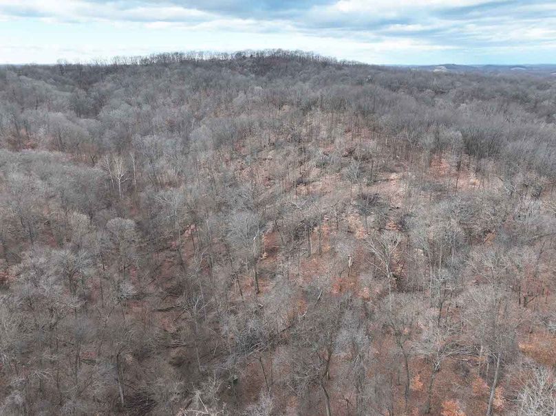 DJI_20251126164248_0295_D