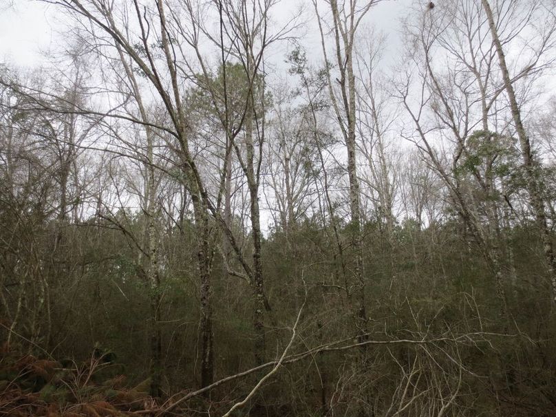 CBE859BD-3A26-477C-BFED-7280A65905E8_1_105_c