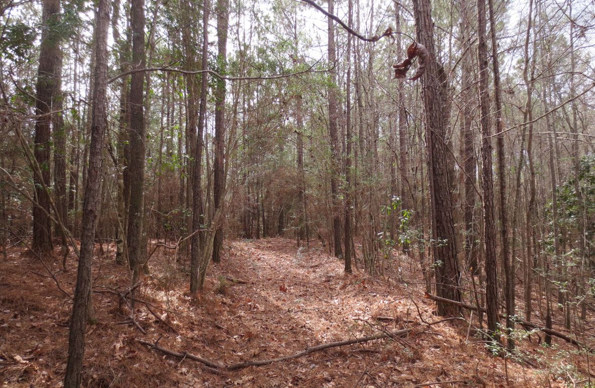 4FB8B73D-8D21-4EB8-B79D-30DDC650BA19