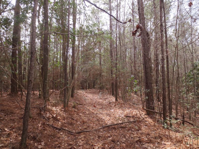 4FB8B73D-8D21-4EB8-B79D-30DDC650BA19