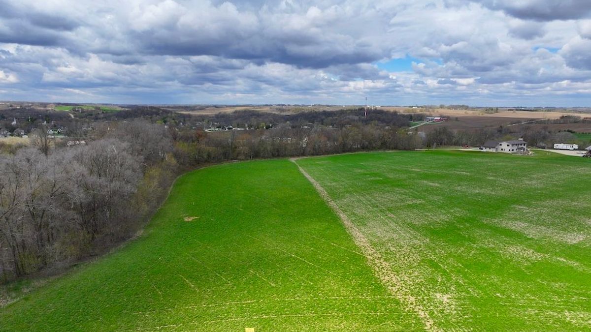 Spectacular Large Buildable Lot Inside The City Limits Of Mazeppa ...