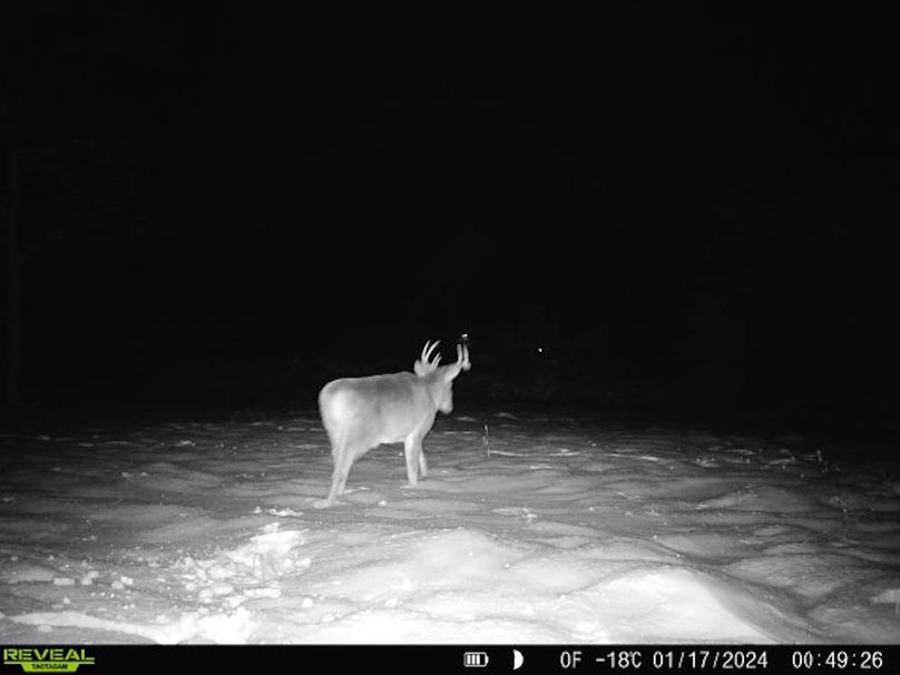 868032067149447-0-4-01172024004926-V-W1000113