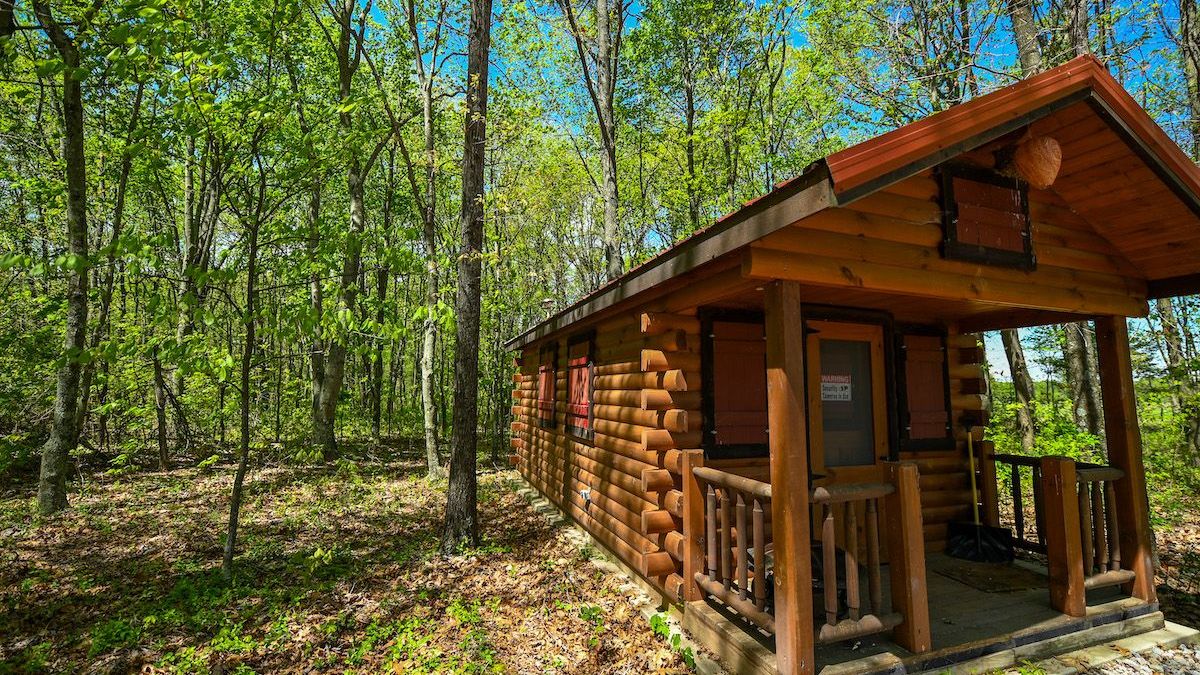 Small Acreage Hunting Tract with Off Grid Cabin | Whitetail Properties