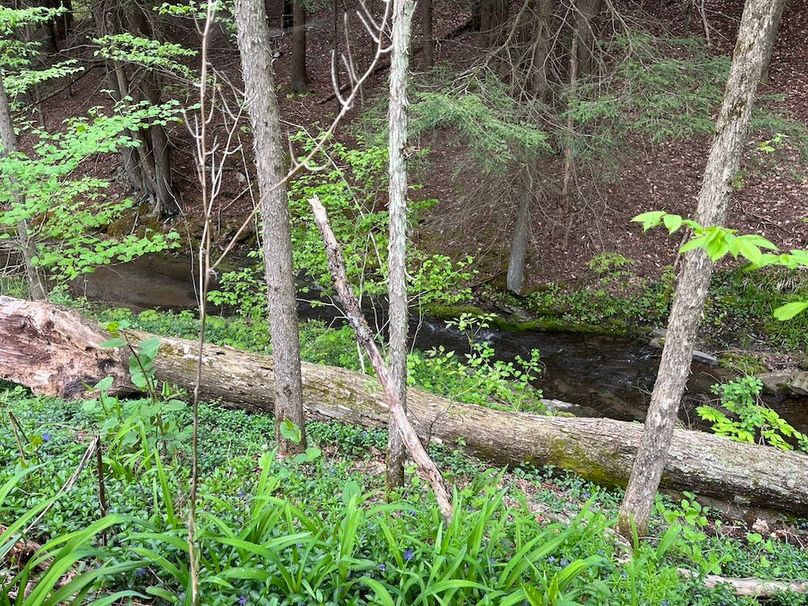 Tioga_78_Biada_Photos_11