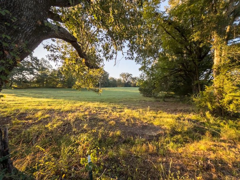 Hinds Co - 30 - Newman-18