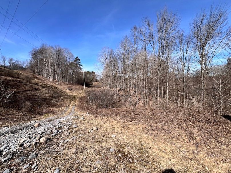 Lewis_26_Somberg Photo 60