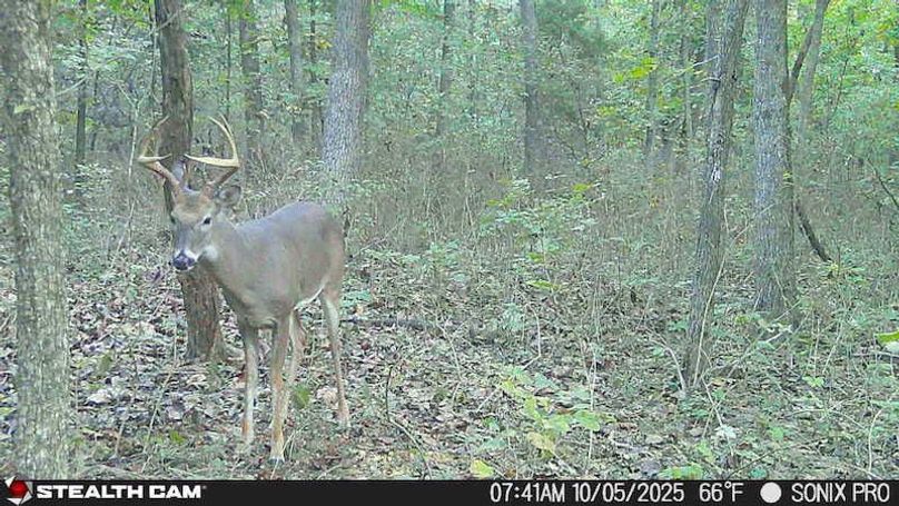 25100507414301005437_ColorizationType.none