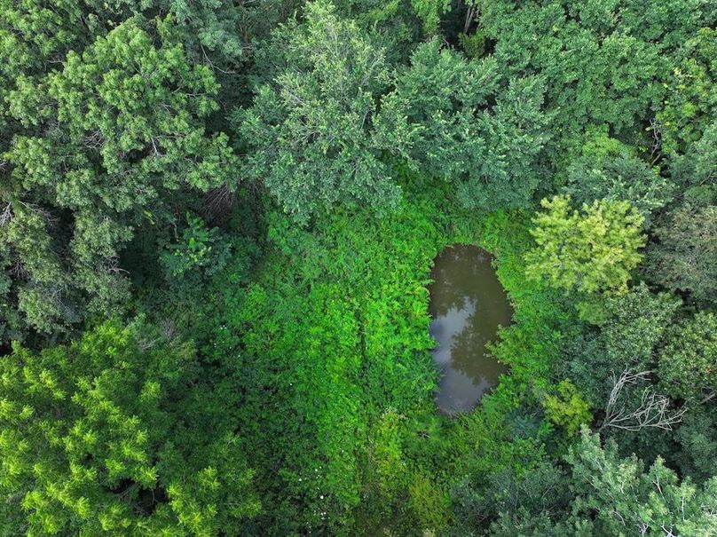 DJI_20240726104056_0046_D