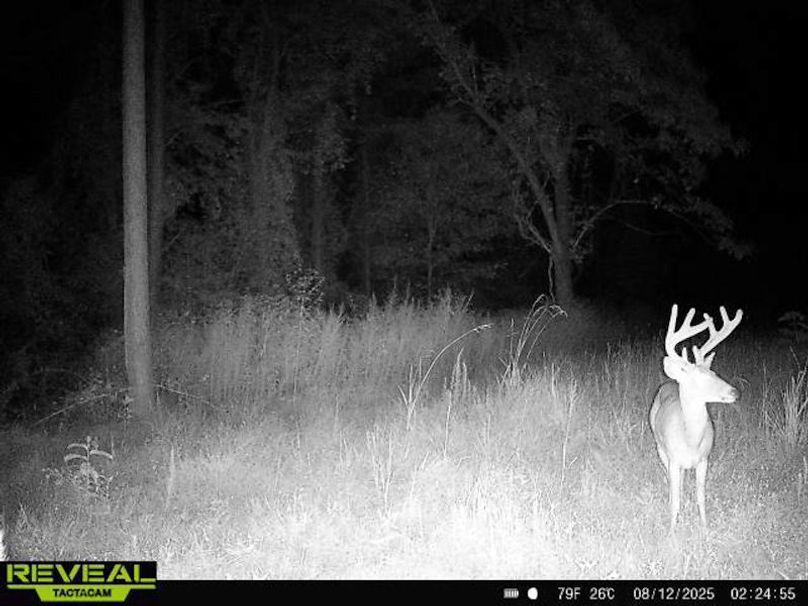 TwinStatesTrailCam33