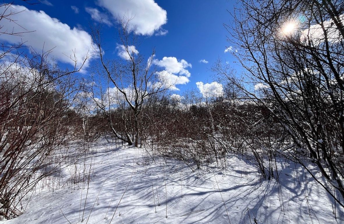 Oswego_10.76_Somberg Photo 2