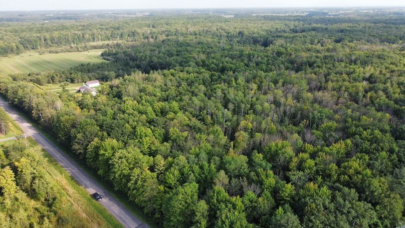 dji_fly_20240826_164720_391_1724708935442_photo_optimized