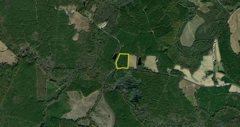 Screenshot 2025-06-11 092635