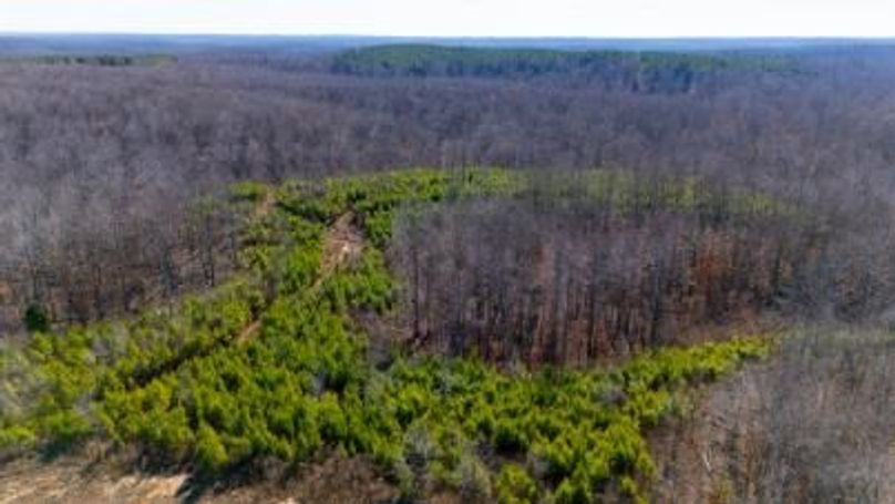 MCKINNON TRACT 15-16