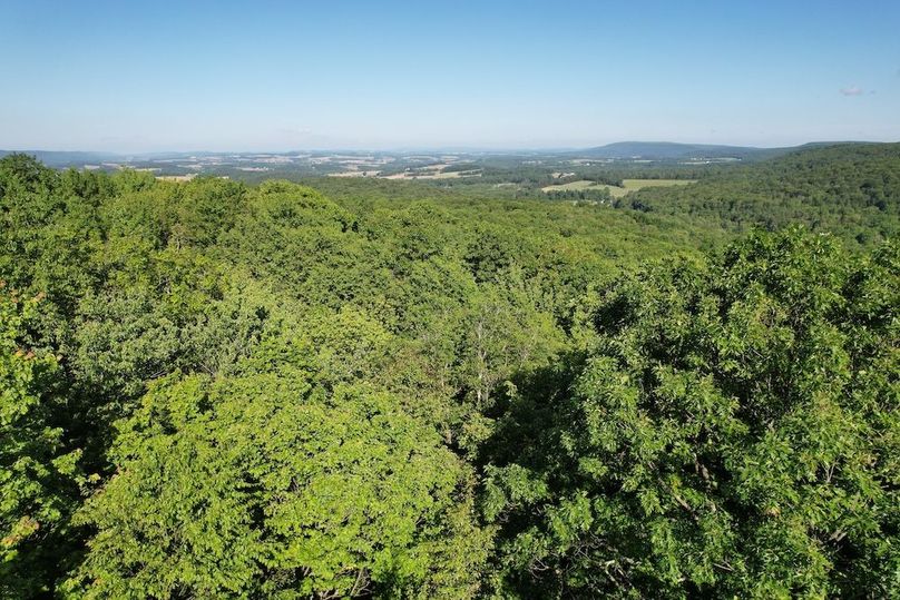 dji_fly_20260602_085214_617_1780663569650_photo