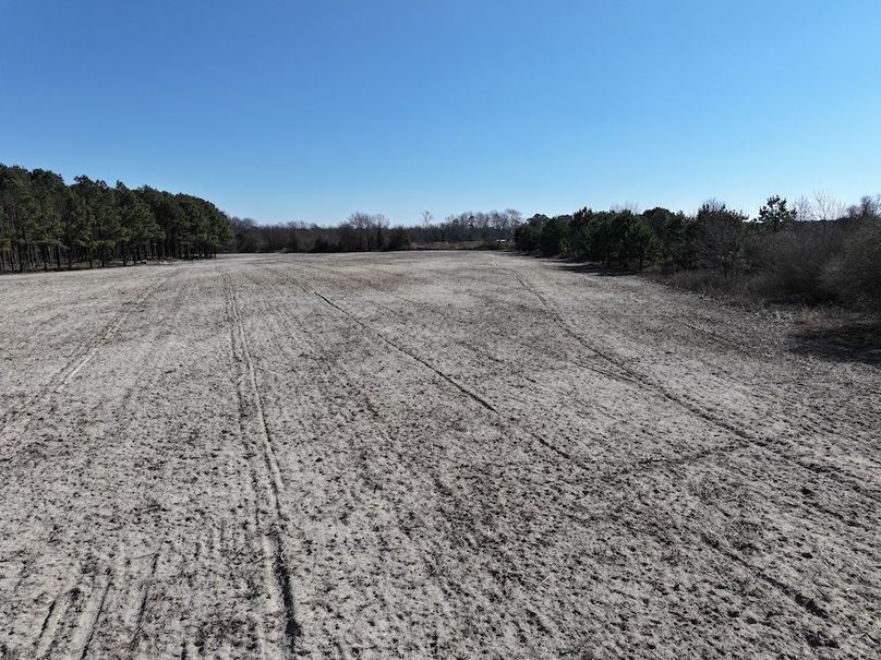 DJI_20260201121500_0415_D