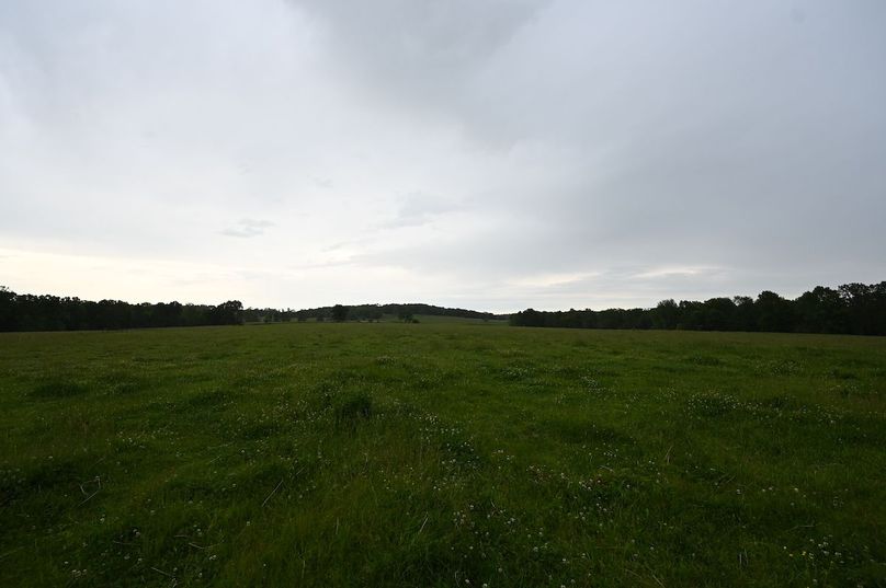 DSC_0215