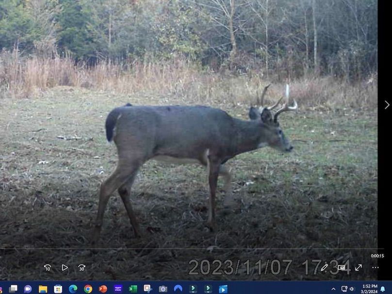 Screenshot 2024-03-02 135259