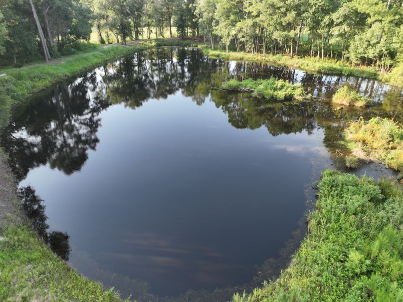 dji_fly_20230813_083616_524_1691930602193_photo