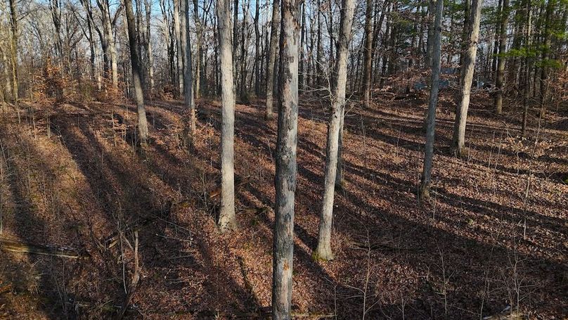 DJI_20251209153313_0703_D