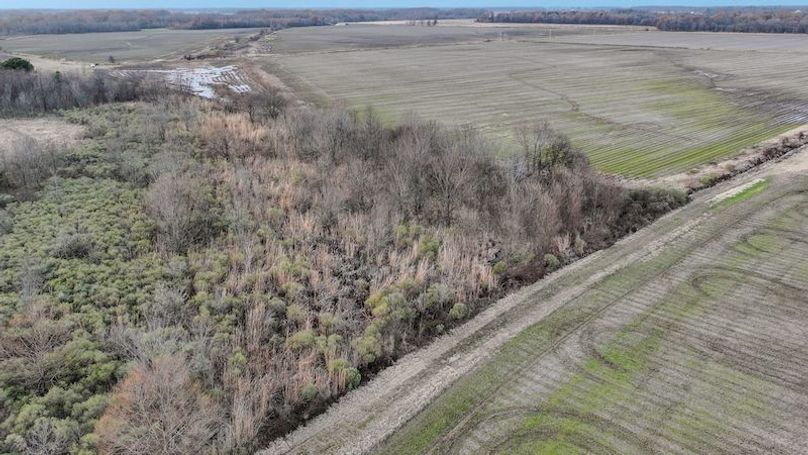 Monroe 80 Driver Dixon (Final Frontier) -27