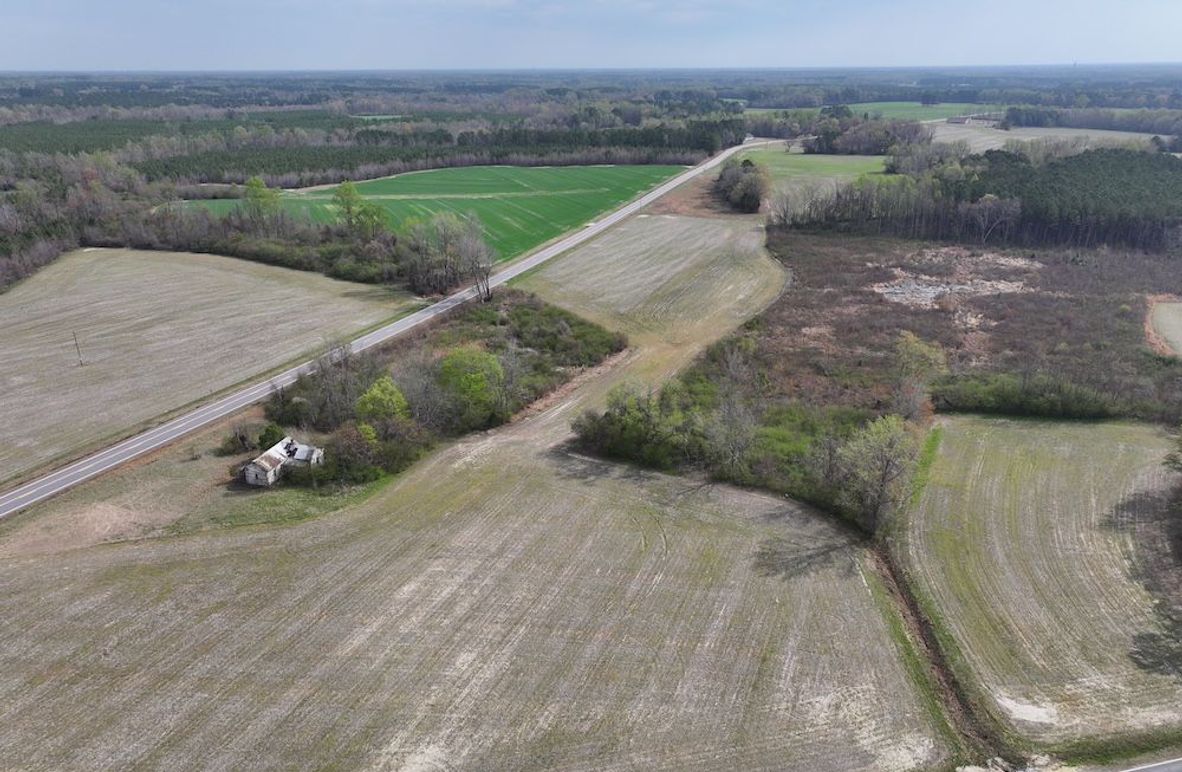 DJI_20260303065017_0586_D