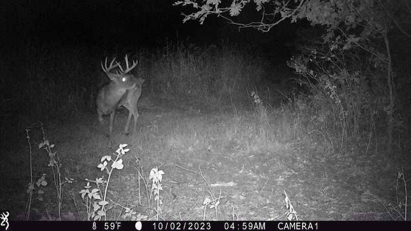 Sauk 174 Trailcam - 35
