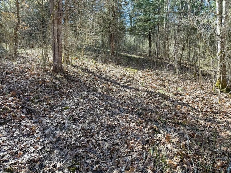 Fleming Petry 120-072