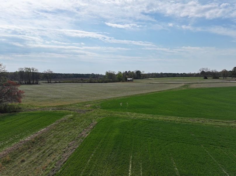 Copy of DJI_20260303064512_0583_D