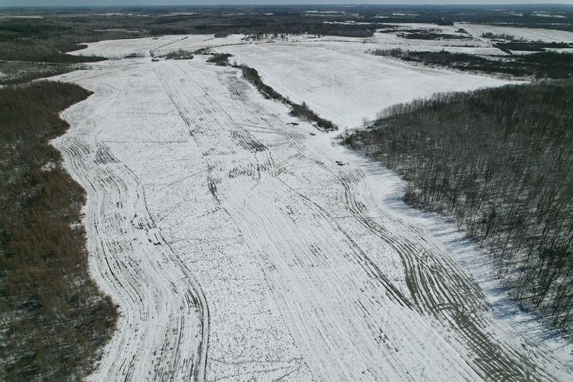 dji_fly_20260311_115426_109_1773248423023_photo (1)