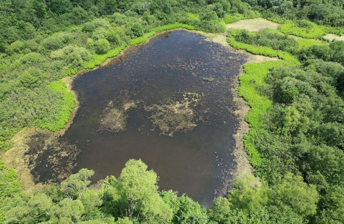 Oswego_13.95_Moore_Bush_Photos_4