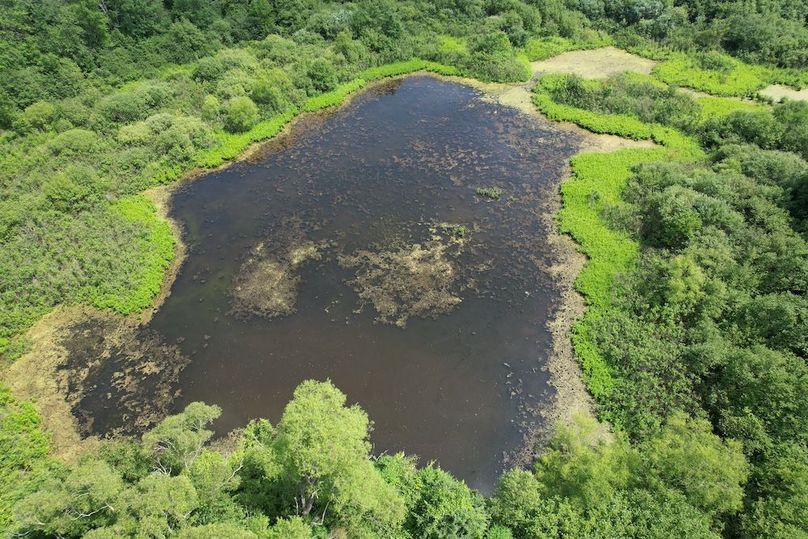 Oswego_13.95_Moore_Bush_Photos_4