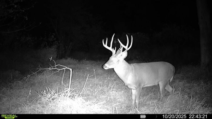 016579008159910-100-3-10202025224321-SYFW00181