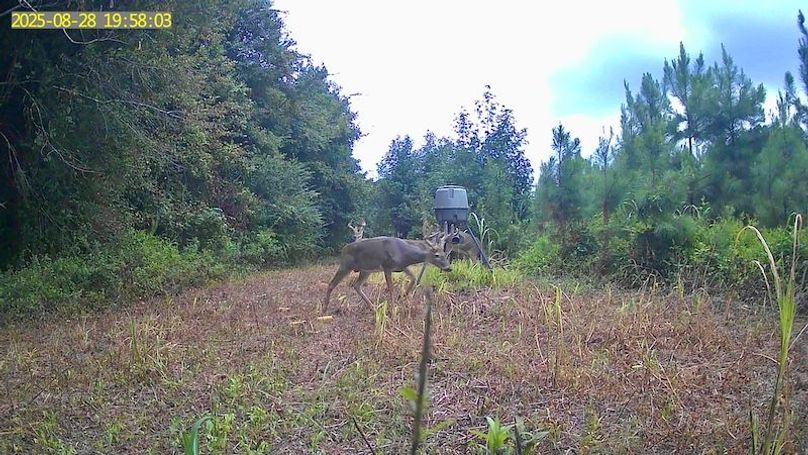 MPOEBLPJPBRWY6WF6YXA_20250828_195805