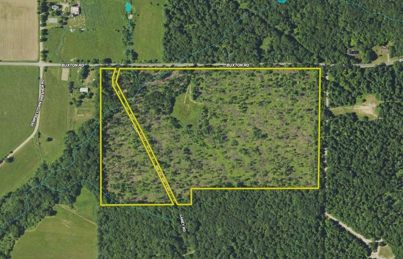 Screen Shot 2024-02-12 at 3.23.58 PM