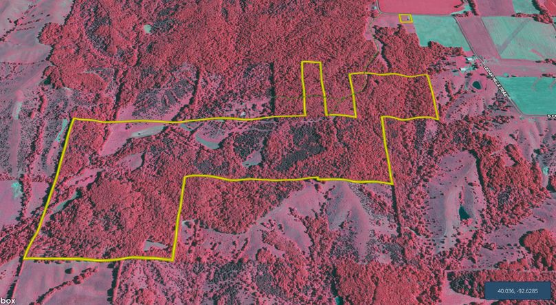 Screen Shot 2022-08-04 at 4.16.20 PM