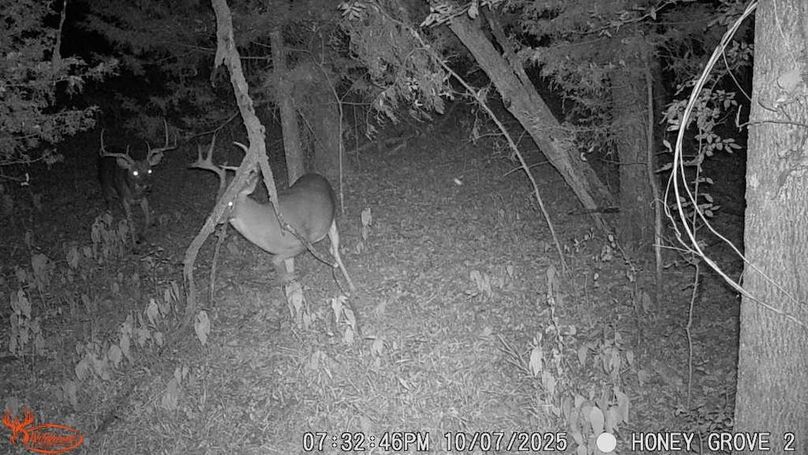 Lamar County- 93 acre reshoot (38 of 39