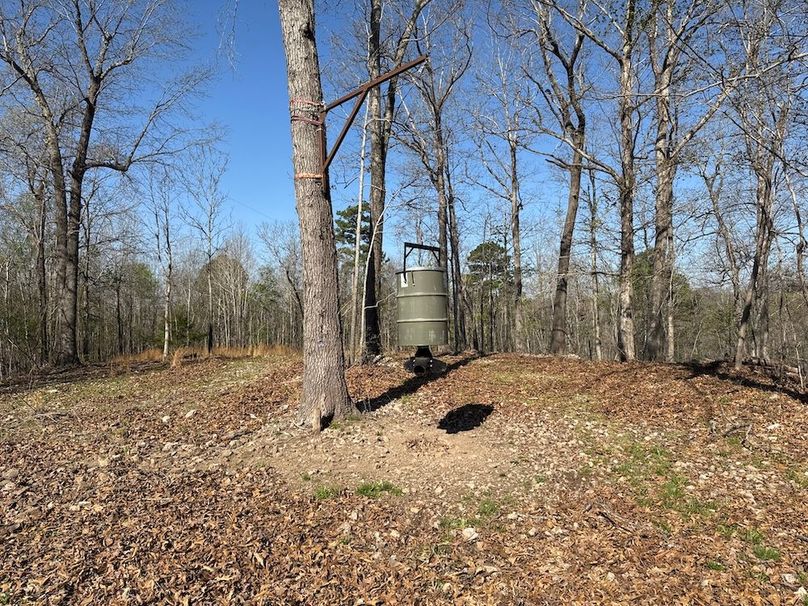 DJI_20260326_100437_634