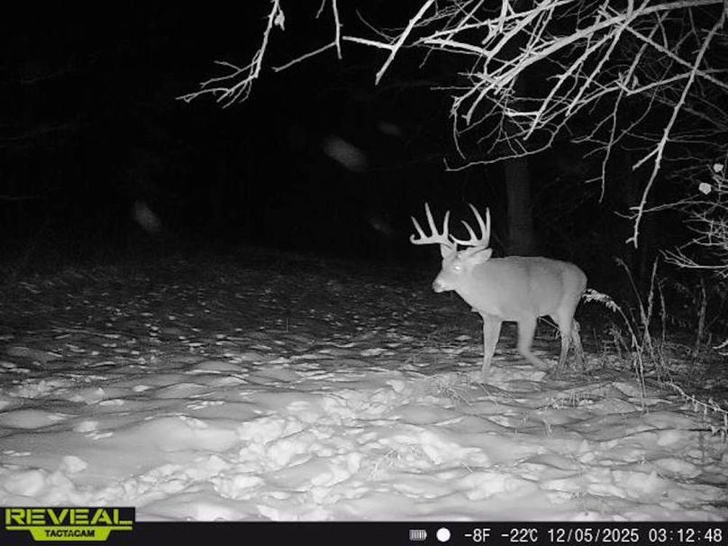 Copy of Trail photos.16