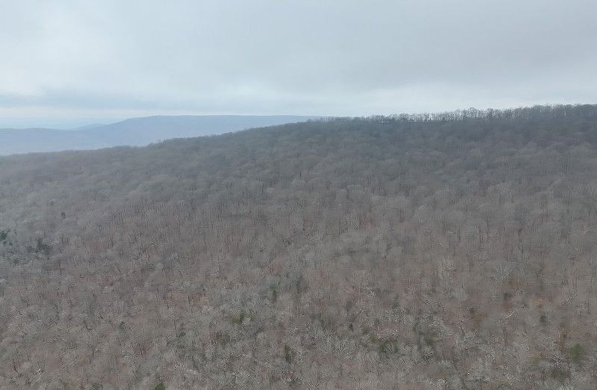 DJI_20260218101726_0009_V