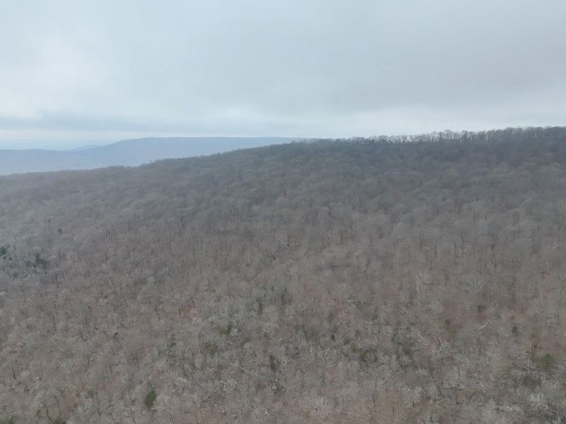 DJI_20260218101726_0009_V