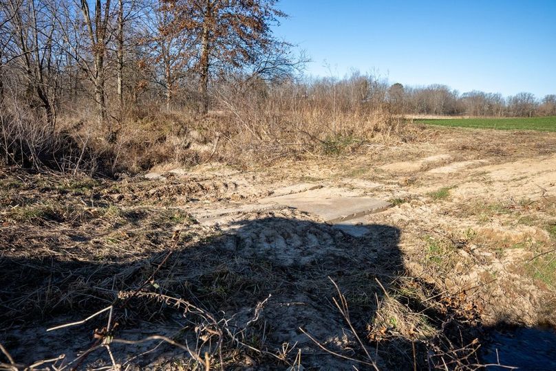 Copy of DSC00676 Large