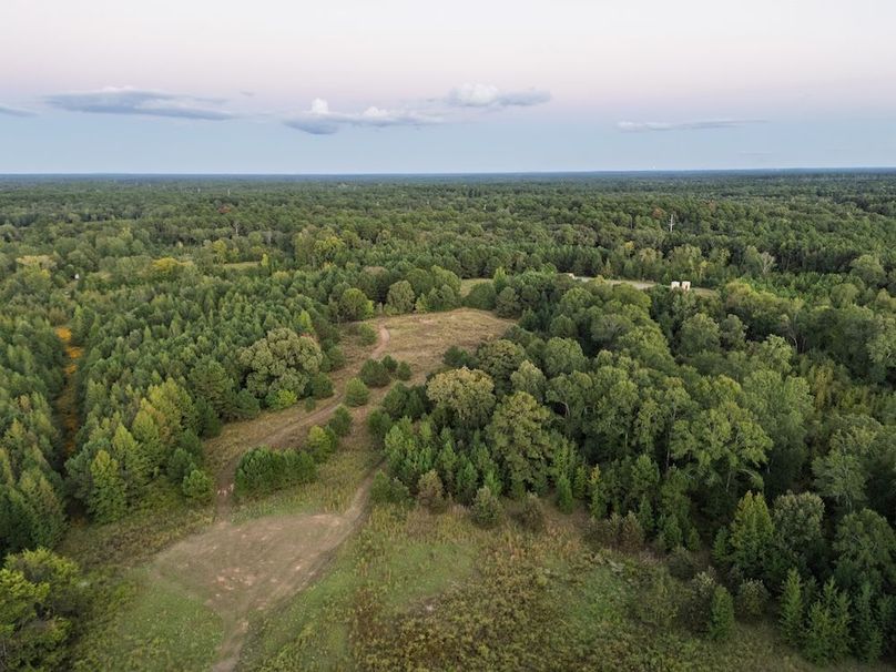 28 Edited Harison co. 206 - Ed Robb-068