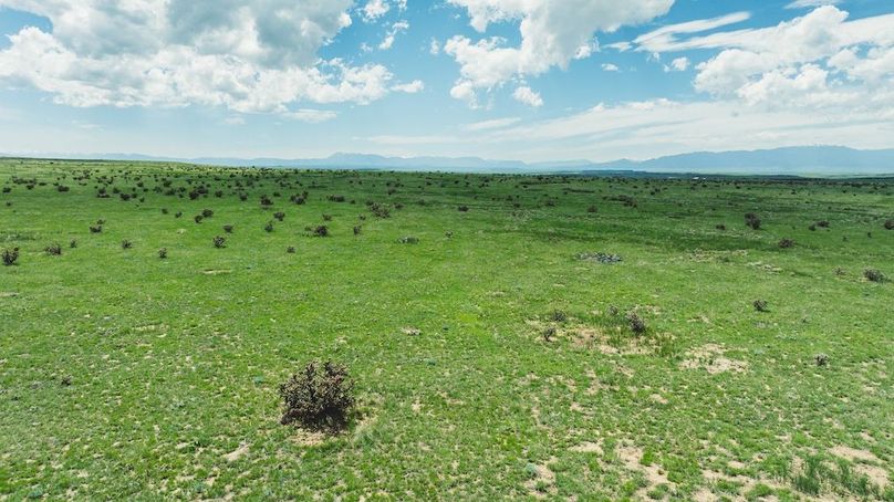 DJI_20240520161413_0152_D