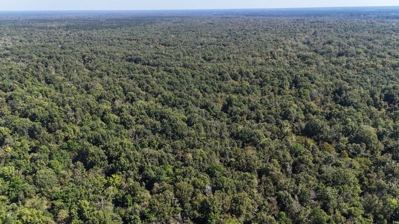 dji_fly_20251015_010902_0061_1760476856823_photo