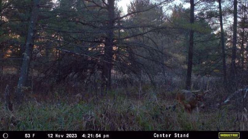 Temp_1082397-20231112222215-12_11_2023_222154_272