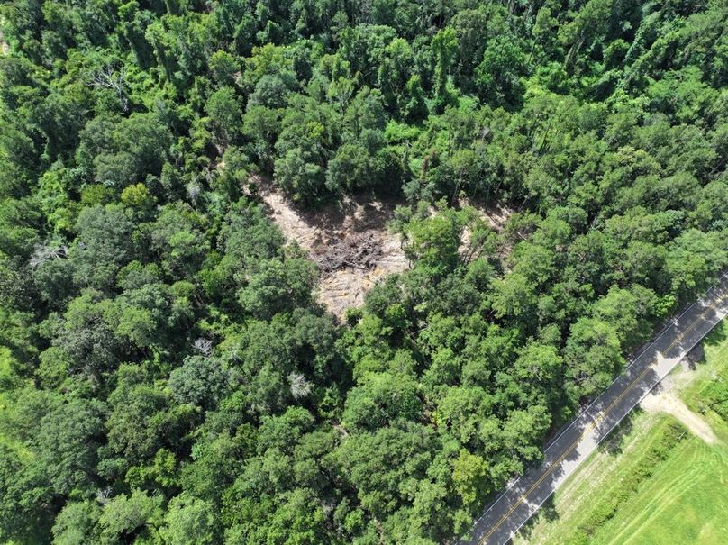 dji_fly_20250708_104806_0201_1752089893749_photo