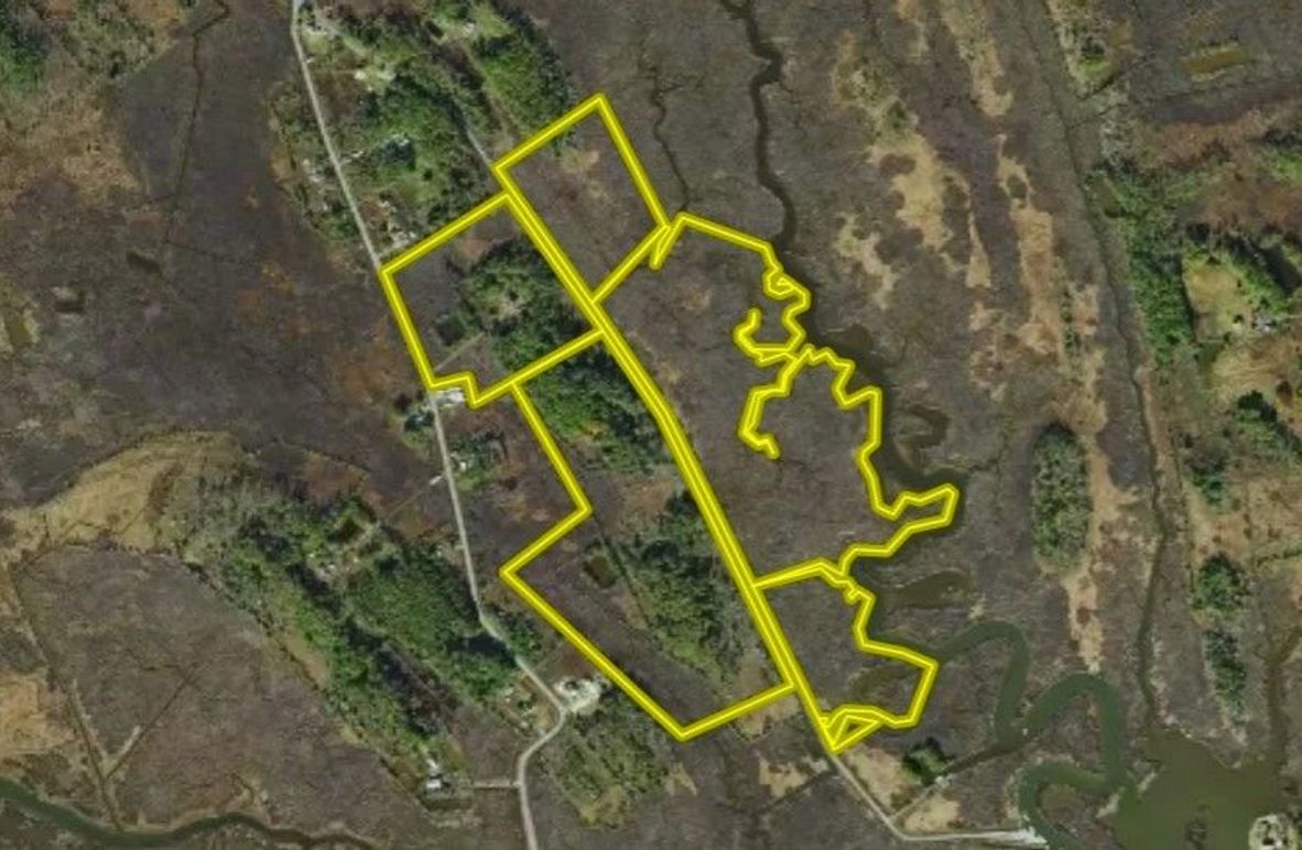 80.38ac_TediousCreek_Dorchester_MAIN MAP